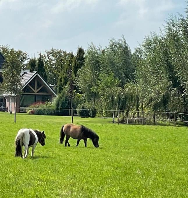 -Nieuw- Luxe & Sfeervol Vakantiehuis Tholen Exterior foto